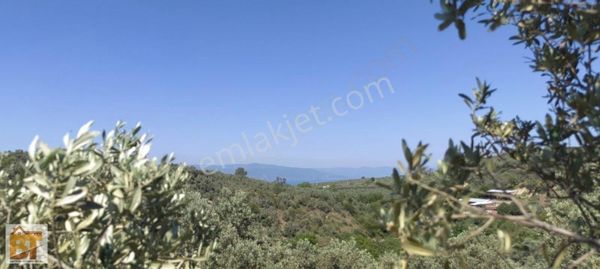 Bt Gayrimenkul Den Mudanya Tirilye De Fırsat Parsel