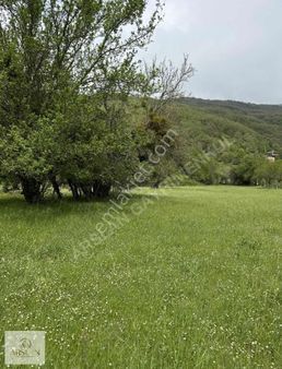 İznik Elmalı'da Köyün En Güzel Noktasında 340m² İmarlı Arsa!