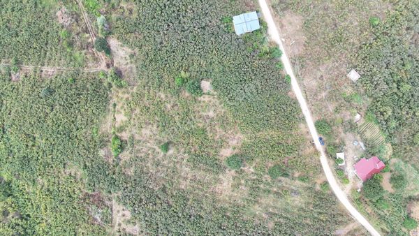 Remax Maviden Karasu Taşlıgeçit De Kapama-verimli Fındık Bahçesi