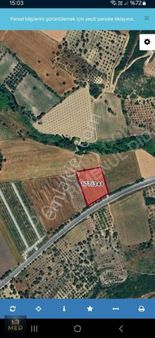 Didim De Ana Yola Sıfır 4000 M2 Tarla