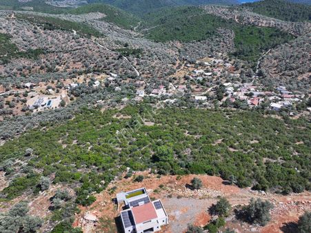 Kızılağaç'ta Satılık 18 Dönüm Zeytinli Tarla