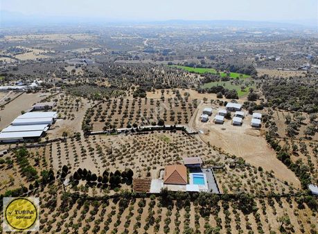 Akçaköy' De; 8 Dönüm - Satılık Havuzlu Malikhane Ve Zeytinlik