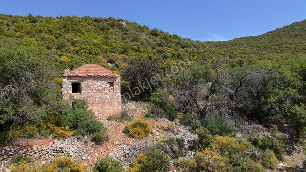 Antalya Kaş Satılık Taş Ev Ve Badem Bahçesi