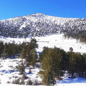 Pozantı Kar Emlaktan Yeni Konacık Körmenlik Mevkiinde Doğa Manzaralı Yaylalık Satılık 575 M2 Arsa