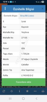 Tek Tapu Yola Cepheli Zeytinlik