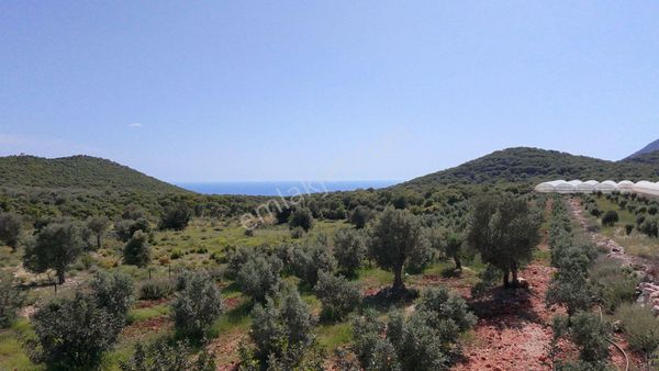 Antalya Kaş Satılık Tarla Boğazcık