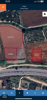 Taşağılda Antalya Yoluna 2. Parsel 7311 M2 Tarla