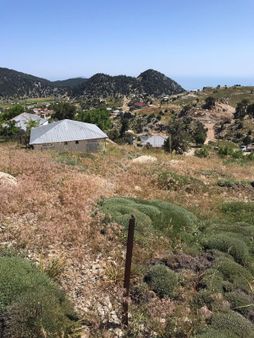 Karagöl Yaylasında Deniz Manzaralı Arsa