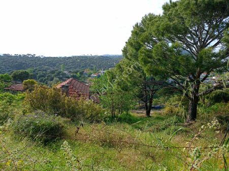 Çavdarda Satılık Köy Evi Ve Arsası
