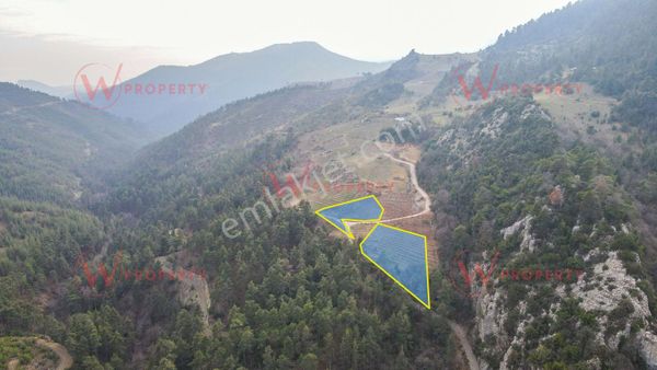 W Property'den Demirışık'ta Hazır Kurulu 3.947 M2 Meyve Bahçesi
