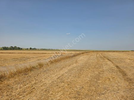 Ergene Misinli'de 307 M2 İmara Sınır Hisseli Parseller