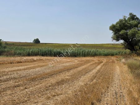 Tekirdağ Ergene Misinlide Satılık 388 M2 İmarlı İfrazlı Arsa