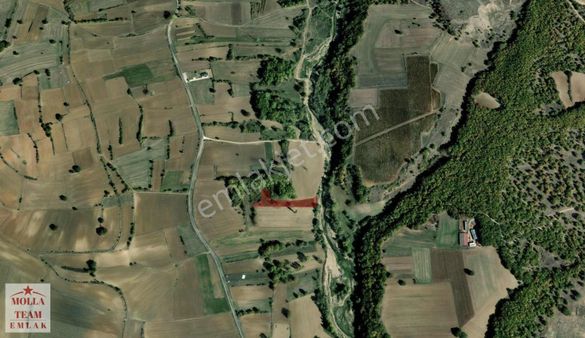Molla Team'den Pinarhisar/ Poyrali'da 2420 M2 Satilik Tarla