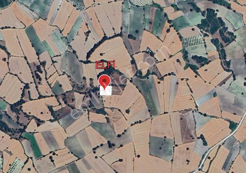 Elfi Den Hamidiye Mahallesinde Satılık 2.200 M2 Tarla