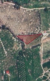 Zümrüt’ten Mezitli Davultepe’de 1812 M2 Satılık Limon Bahçesi