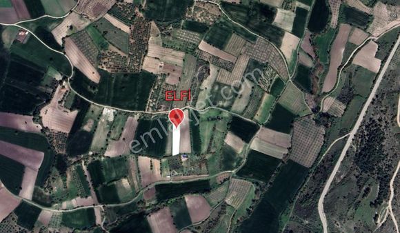 Elfi Den Altıeylül/cinge Mahallesinde Satılık 2.509 M2 Tarla