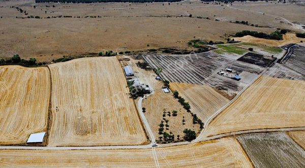 Kapaklı Karlıköy'de 9.177 M2 Mera Cepheli Ruhsatlı Çiftlik