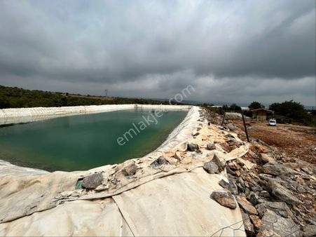 Esenpınar Ağlıca'da 12.600 M2 Müstakil Tapulu Yer