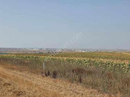 Ergene Kırkgöz Satılık 991m2 Tarladan Hisseler
