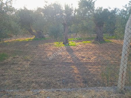 İda Kaan Emlaktan Satılık Arsa