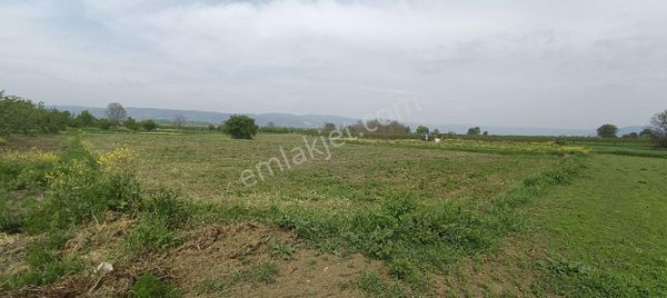 E&f Gayrimenkul'den Deydinler Mahallesinde Köy İçinde Tarla