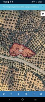 Balıkesir Gömeç Hacı Hüseyinler Köyünde Satılık Kadastro Yolu Olan Zeytinlik