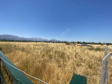 Boyalıda Satılık Bağ Bahçe İçin Uygun Tarla