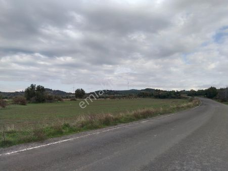 Türkiye Balıkesir Ayvalık Çakmak Ta Satılık 11.685 Metre Kare Tarla