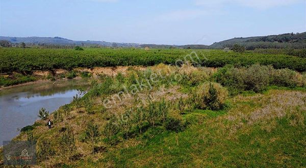 Akçakoca Nazımbey Köyünde 4188 M2 Yatırımlık Tarla Satılık