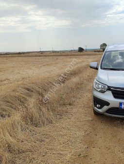 Edirne Meriç Subaşı Beldesinde 4.193 M2 Yola Cephe Tek Tapu Tarla