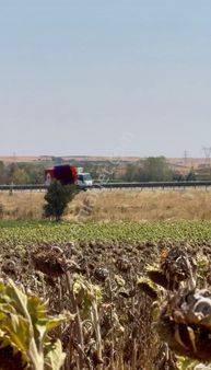 Edirne Havsa Necatiye Köyü 4.150 M2 Tek Tapu Tarla