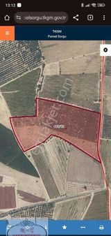 M&ş Gayrimenkulden Satılık Kayısı Bahçesi.