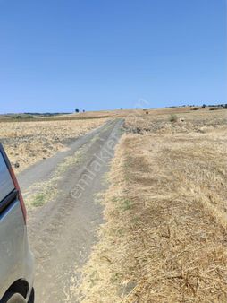 Kırklareli Babaeski Müsellim Köyünde