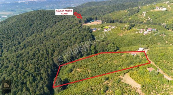 Kurutay Gayrimenkulden Güzlek Mah. Satılık 20 Dönüm Arsa