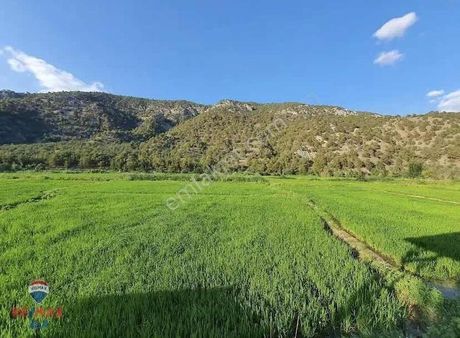 Çorum Kargı Hacıhamza Köyü Tek Tapu Satılık Tarla