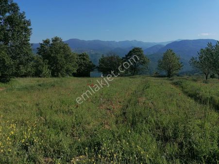 E&f Gayrimenkul'den Eskiköy Mahallesinde Acil Satılık Hobi Bahçesi