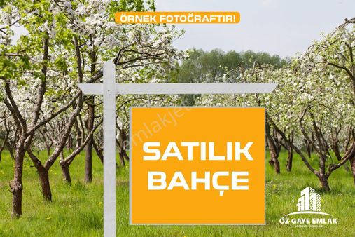 Öz Gaye Emlaktan Develi Öksüt Mahallesi Tepecik Mevkinde Satılık Bahçe