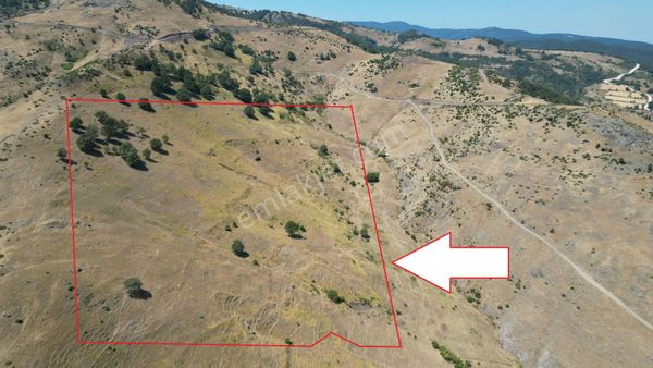 Kocaeli Karamürsel Kızderbent %5 İmarlı Satılık 44.164 M2 Satılık Tarla