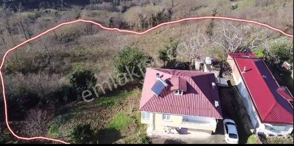 🚨 Kısa Süre Geçerli Fiyat 🚨- Satılık Arsa İçinde Ev İle Beraber 28 Dönüm Fındık Bahçesi