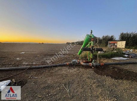 Hamzabeylide Elektrik Ve Suyu Olan 30 Dönüm Satılık Süper Arazi
