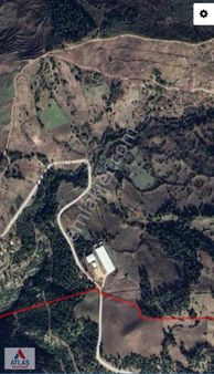 Ahmetli Hacıköseli Mh'de Yolkenarı 25 Dönüm Satılık Arazi