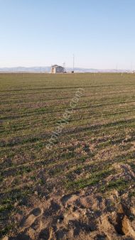 Miraç Uğur Emlak-gayrimenkulden Satılık Tarla