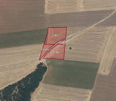 Pınarhisar Kaynarca Köyünde Satılık Tarla