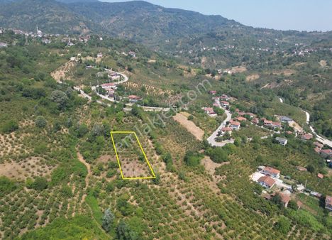Düzce Merkez Suncuk Köyü'nde 2156 M2 Satılık Arsa