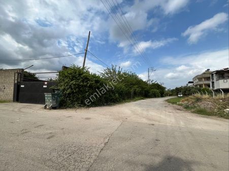 Seyhan Mahallesi Çarşamba Semt Pazarı Civarı Satılık 1348m2 Arsa