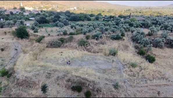 Su Emlak'tan Zeytinova'da Uygun Fiyatlı Hobi Bahçesi
