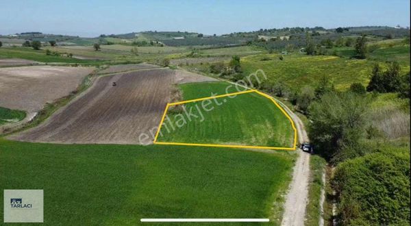 Mkp Aliseydi'de 2198m2 Tarla