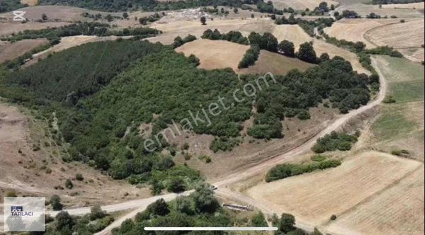 Mkp Paşalar'da 13.000m Tarla Satılık