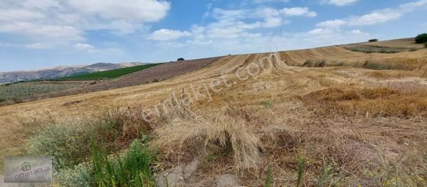 Öztarlacı'dan Güllüce'de 5750 M² Satılıktır