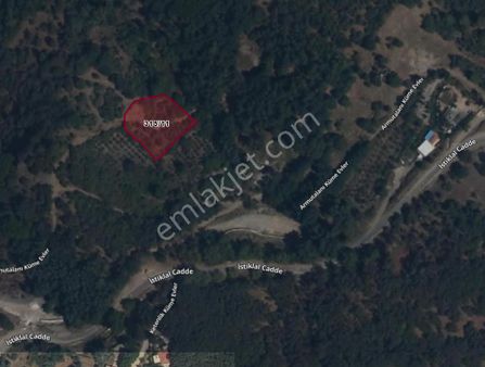 🏡 Denizli Babadağ Gündoğdu Mahallesi’nde Satılık Bahçe